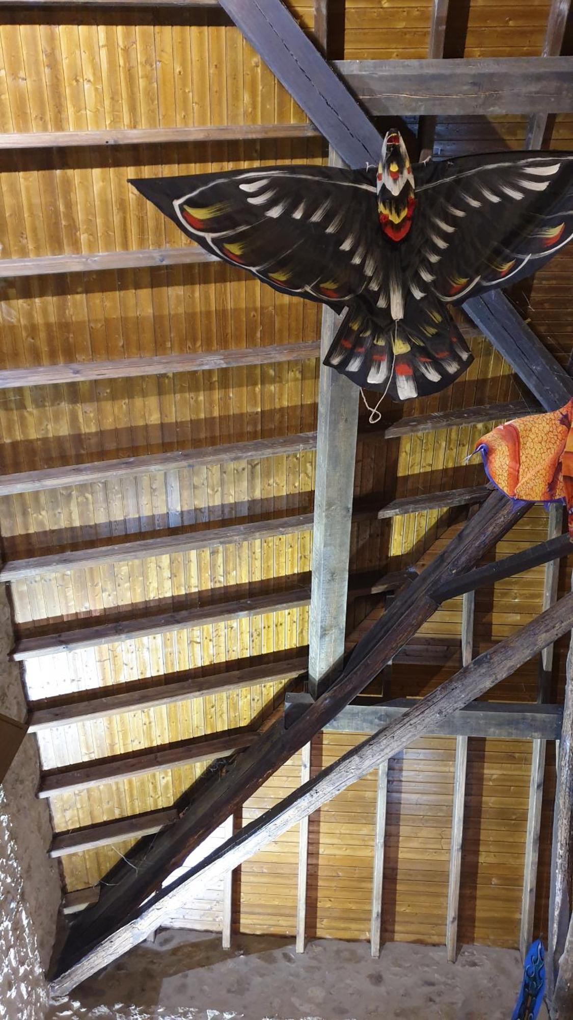 Finca La Carb0Nera Oliva de Plasencia Kültér fotó